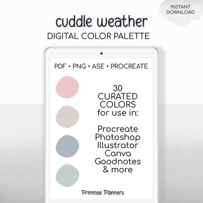 Procreate Color Palette Muted Winter | Pink Brown Blue Green Swatches | Cozy Earthy Boho Digital Art | iPad Drawing Tools