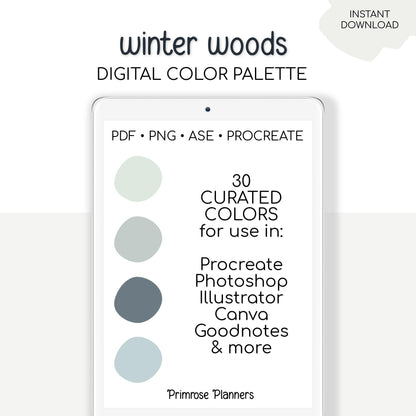 Winter Woods Digital Color Palette - Color Chart | Goodnotes Tool | iPad Procreate | Digital Download | Winter Color Palette | HEX Codes