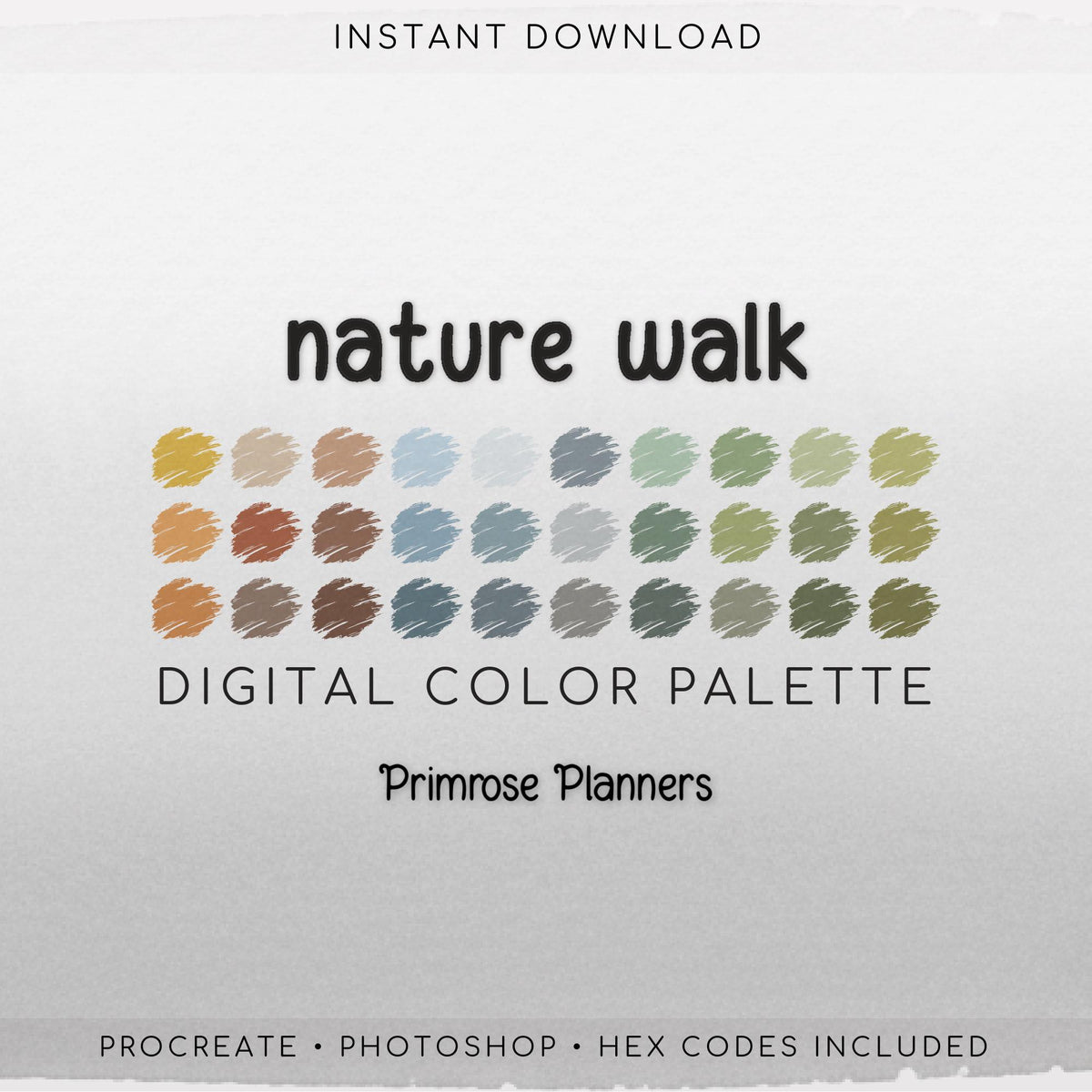 Earth Tones Procreate Palette, Boho Terracotta Color Swatches, Sage Green, Orange Aesthetic Digital Download