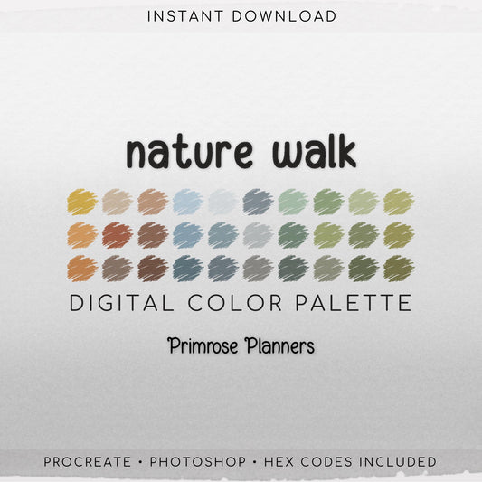 Earth Tones Procreate Palette, Boho Terracotta Color Swatches, Sage Green, Orange Aesthetic Digital Download