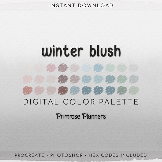 Winter Blush Procreate Palette & Photoshop Swatches, Muted Mauve Tan Taupe Sage Neutral Blue, Boho Snow, Hex Codes