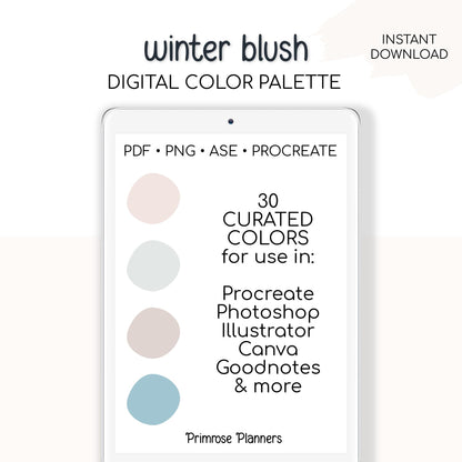 Winter Blush Procreate Palette & Photoshop Swatches, Muted Mauve Tan Taupe Sage Neutral Blue, Boho Snow, Hex Codes