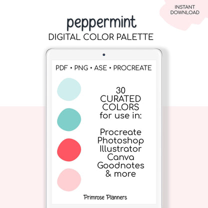 Peppermint Digital Color Palette - Color Chart | Goodnotes Tool | iPad Procreate | Digital Download | Winter Color Palette | HEX Codes