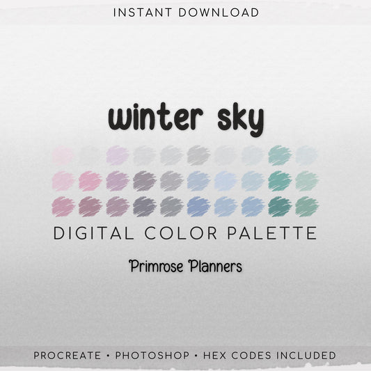 Winter Sky Digital Color Palette - Color Chart | Goodnotes Tool | iPad Procreate | Digital Download | Winter Color Palette | HEX Codes