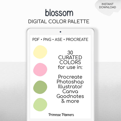 Blossom Digital Color Palette - Color Chart | Goodnotes Tool | iPad Procreate | Digital Download | Spring Color Palette | HEX Codes | Pink