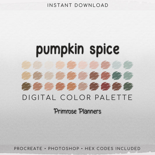 Pumpkin Spice Procreate Color Palette | Burnt Orange Sage Fall Swatches | Cozy Autumn Earthy iPad Colors