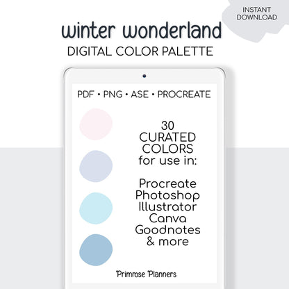 Winter Wonderland Digital Color Palette - Color Chart | Goodnotes Tool | iPad Procreate | Digital Download | Color Palette | HEX Codes