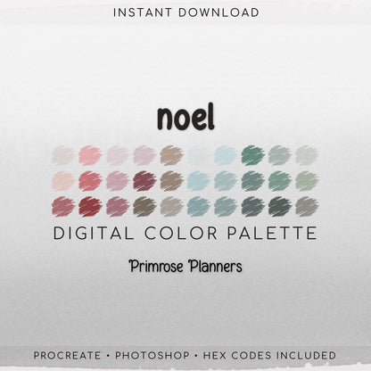 Noel Digital Color Palette - Color Chart | Goodnotes Tool | iPad Procreate | Digital Download | Holiday Color Palette | HEX Codes
