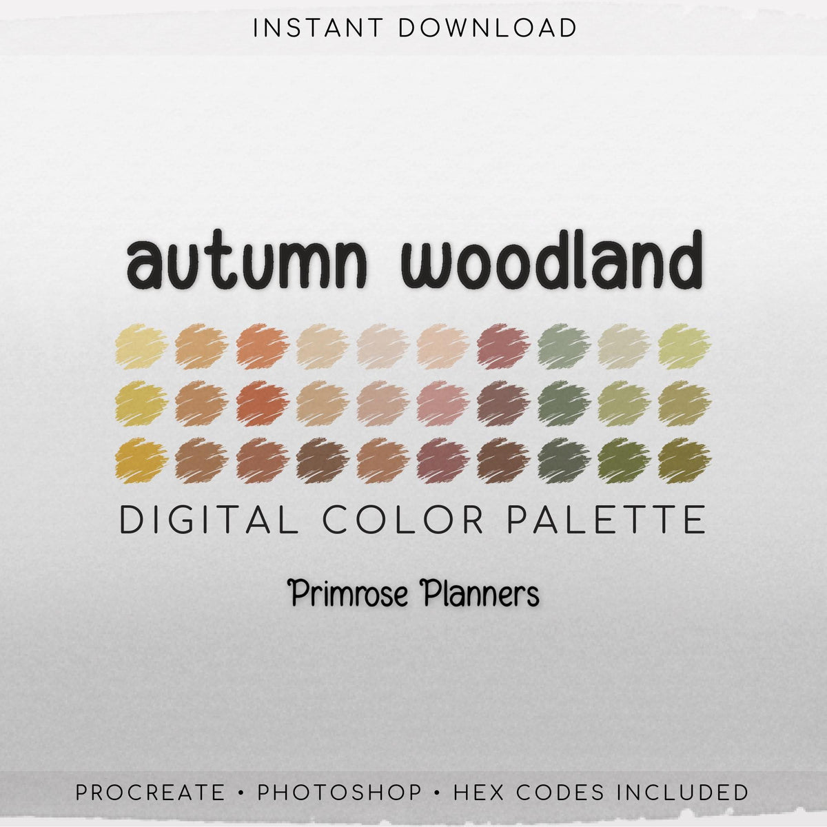 Autumn Woodland Procreate Palette, Fall Forest Color Swatches, Moody Warm Aesthetic Digital Download