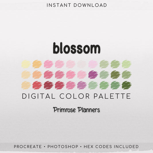 Blossom Digital Color Palette - Color Chart | Goodnotes Tool | iPad Procreate | Digital Download | Spring Color Palette | HEX Codes | Pink