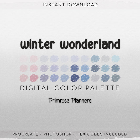 Winter Wonderland Digital Color Palette - Color Chart | Goodnotes Tool | iPad Procreate | Digital Download | Color Palette | HEX Codes