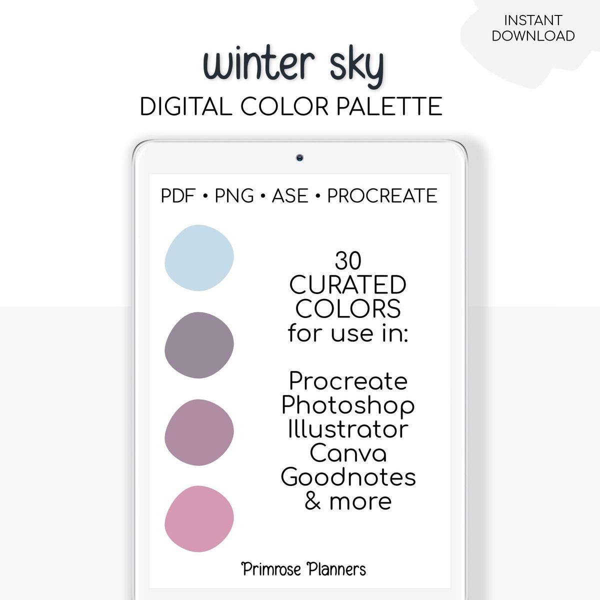 Winter Sky Digital Color Palette - Color Chart | Goodnotes Tool | iPad Procreate | Digital Download | Winter Color Palette | HEX Codes