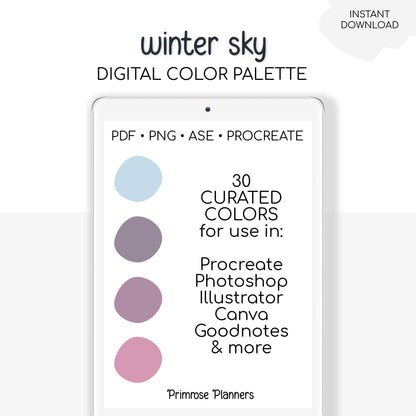 Winter Sky Digital Color Palette - Color Chart | Goodnotes Tool | iPad Procreate | Digital Download | Winter Color Palette | HEX Codes