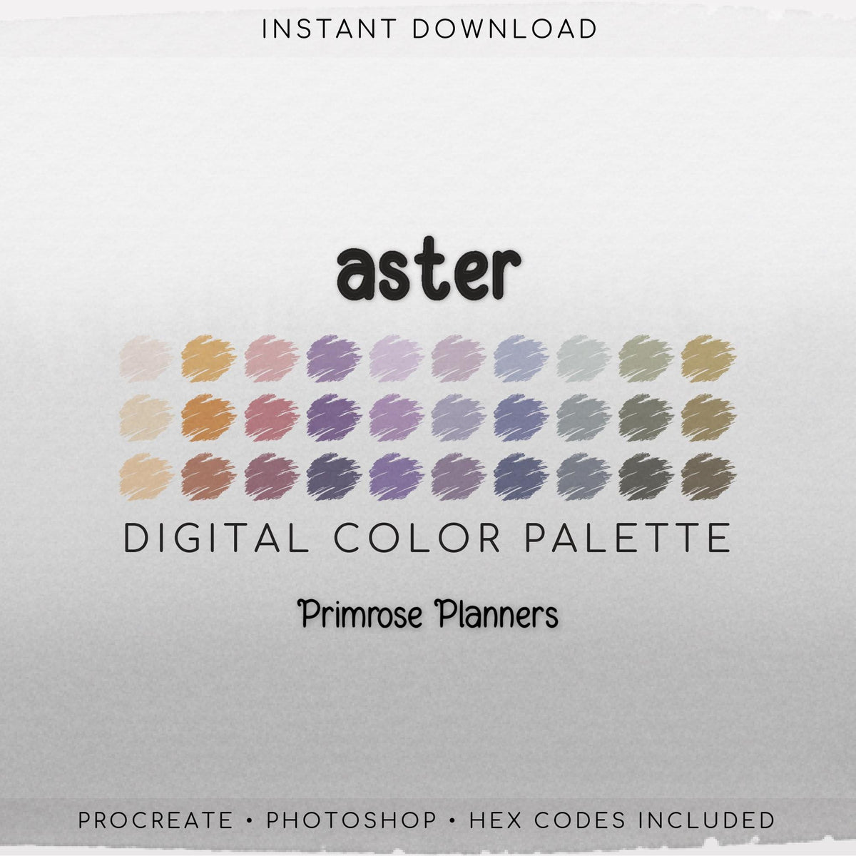 Aster Procreate Palette & Photoshop Swatches | Orange, Purple, Green | Wildflower Fall Floral | Hex Codes | Digital Art
