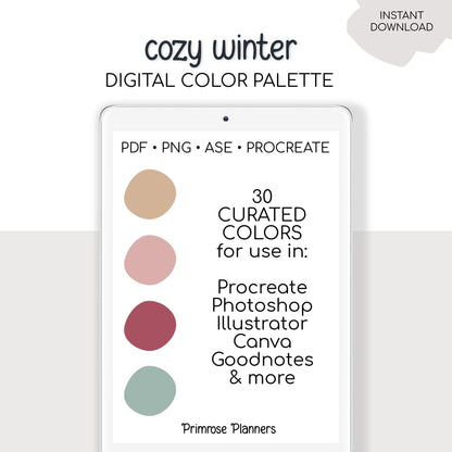 Cozy Winter Digital Color Palette - Color Chart | Goodnotes Tool | iPad Procreate | Digital Download | Winter Color Palette | HEX Codes