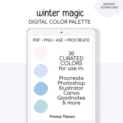 Winter Magic Digital Color Palette - Color Chart | Goodnotes Tool | iPad Procreate | Digital Download | Winter Color Palette | HEX Codes