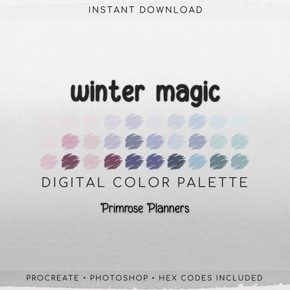 Winter Magic Digital Color Palette - Color Chart | Goodnotes Tool | iPad Procreate | Digital Download | Winter Color Palette | HEX Codes