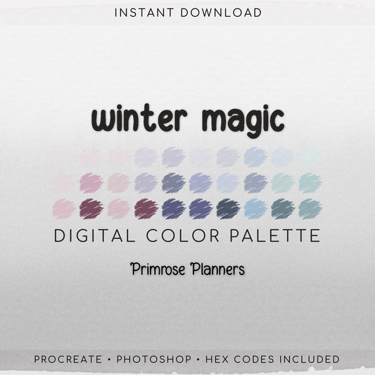 Winter Magic Digital Color Palette - Color Chart | Goodnotes Tool | iPad Procreate | Digital Download | Winter Color Palette | HEX Codes