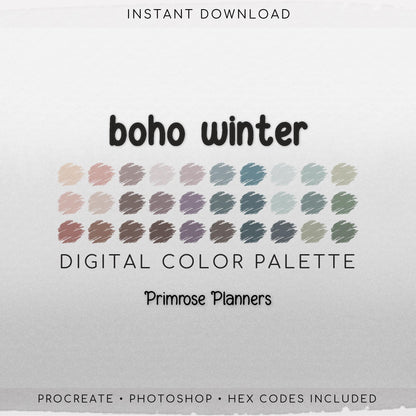 Boho Winter Digital Color Palette - Color Chart | Goodnotes Tool | iPad Procreate | Digital Download | Bohemian Color Palette | HEX Codes