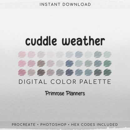 Procreate Color Palette Muted Winter | Pink Brown Blue Green Swatches | Cozy Earthy Boho Digital Art | iPad Drawing Tools