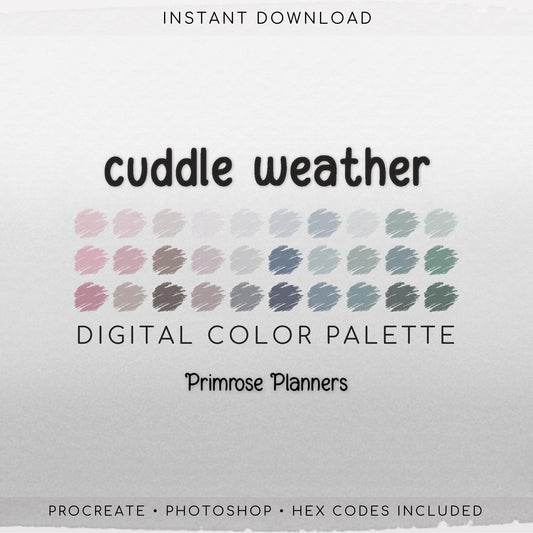 Procreate Color Palette Muted Winter | Pink Brown Blue Green Swatches | Cozy Earthy Boho Digital Art | iPad Drawing Tools